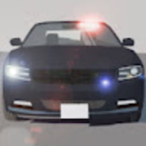 Meet your Posher, Blake